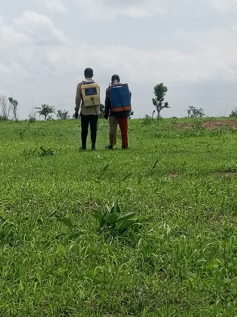 About Us