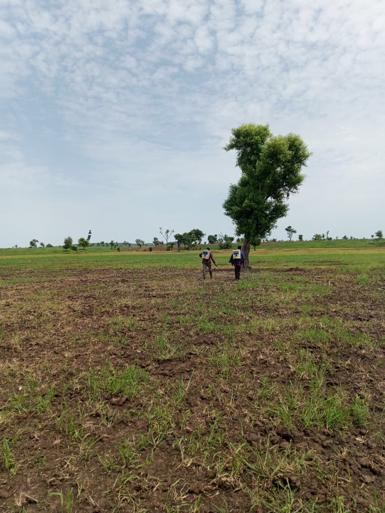 Badekaka gallery image
